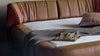 DS-1164_mood_2.jpg