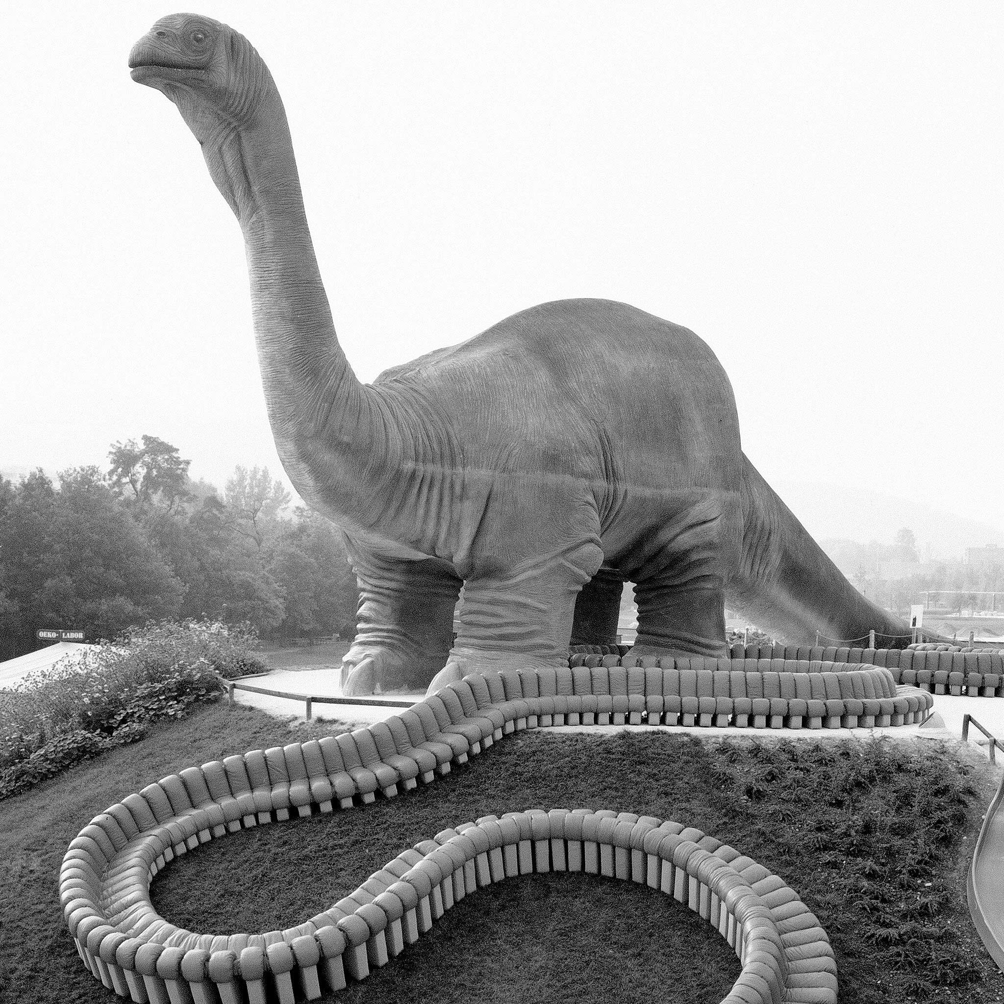 Ein geschwungenes, modulares Ledersofa von Desede Switzerland vor einer Dinosaurier-Skulptur.