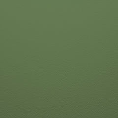 RAL-6011