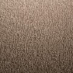 2817_taupe