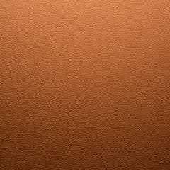 2866_teak