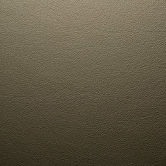 24156_olive