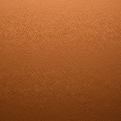 2466_teak